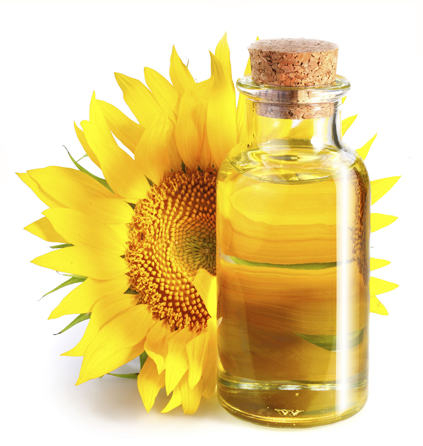 RefinedSunflowerOil.jpg